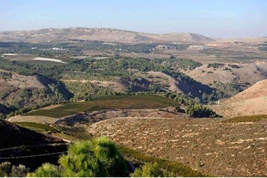 אהבה בגבהים 