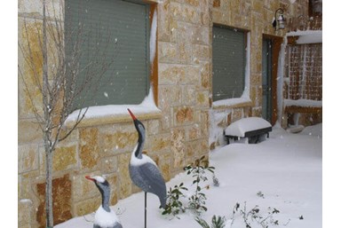 אהבה בגבהים 