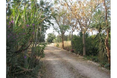 כפר נבון - מרכז אירוח - הנוף והסביבה