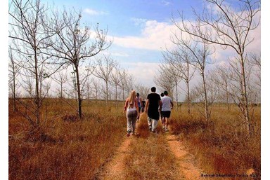 כפר נבון - מרכז אירוח - סדנאות ואירועים