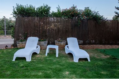 נופים בדישון  - החצר 