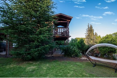 נופים בדישון  - החצר 