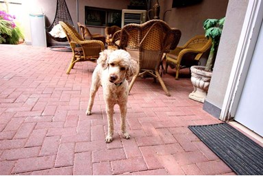 סאנסט אין - חדר זוגי