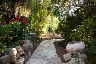 בחורש הטבעי - החצר