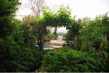 בחורש הטבעי