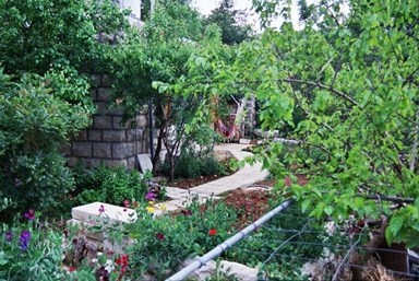 בחורש הטבעי