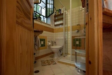 בחורש הטבעי