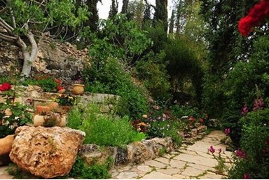 בחורש הטבעי - החצר