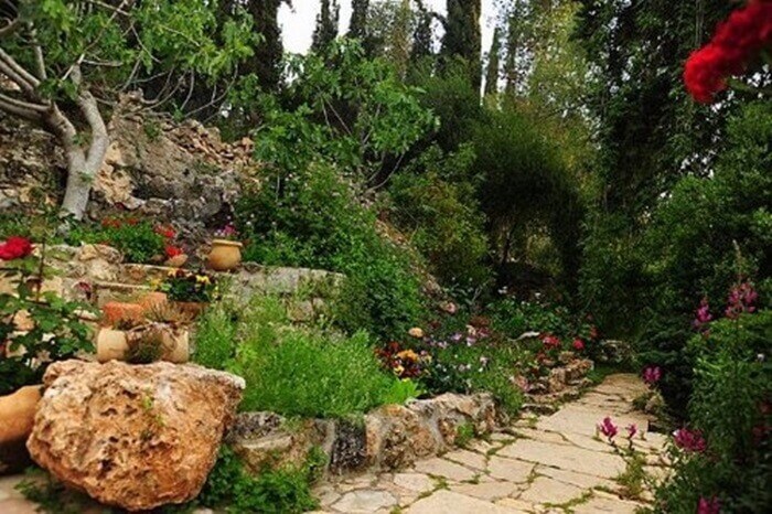 בחורש הטבעי דמי ביטול (8).jpg