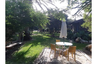 הבקתה של דלילה - החצר