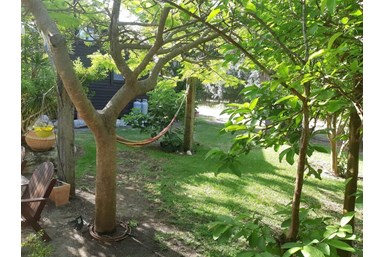 הבקתה של דלילה - החצר