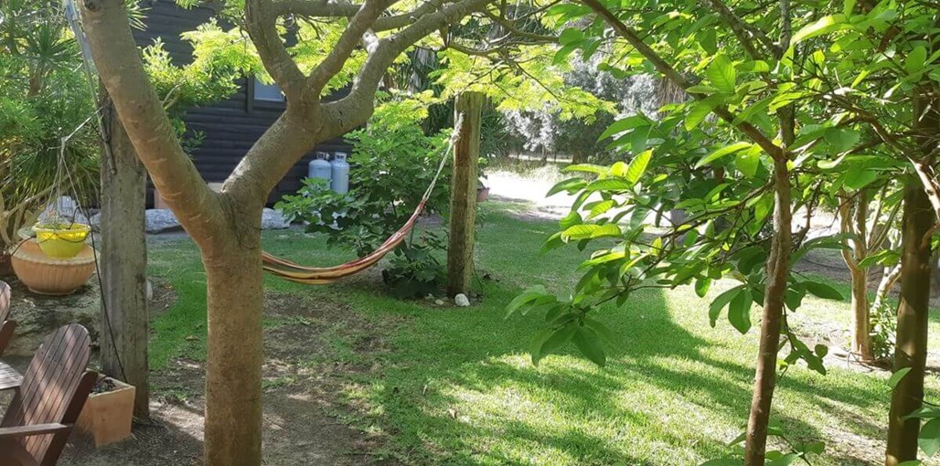 הבקתה של דלילה הירוקה (5).jpeg