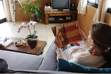 על גג המדבר 