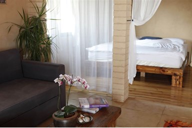 על גג המדבר 