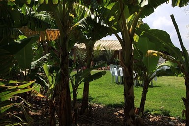 בין הר לים - החצר והנוף