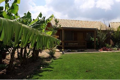 בין הר לים - החצר והנוף