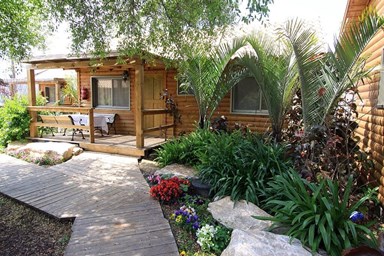 בין הר לים - החצר והנוף