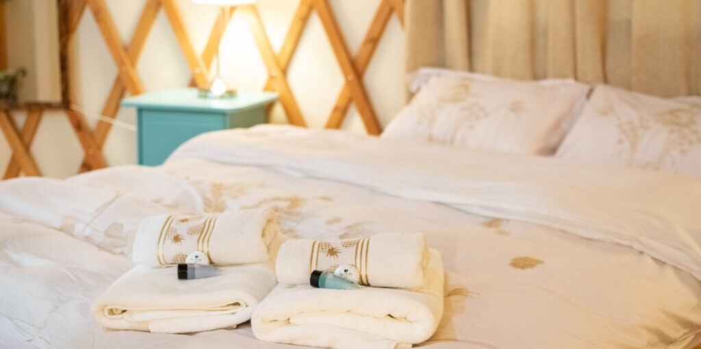 זהר בדשא זהר בדשא (81).JPG