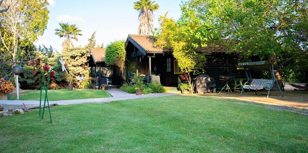 זהר בדשא זהר בדשא (45).jpg