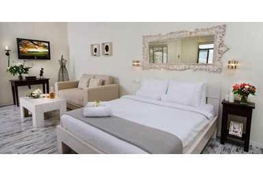 סוויטות ירוק זית - סוויטת כרם זית