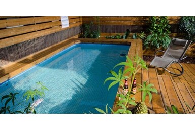 סוויטות ירוק זית