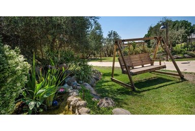 סוויטות ירוק זית