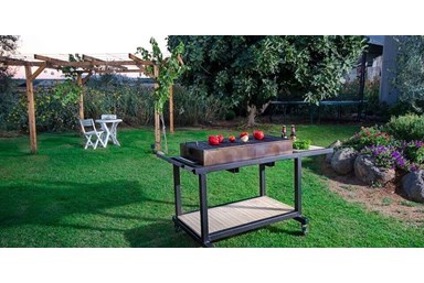 סוויטות ירוק זית - הבריכה הפרטית