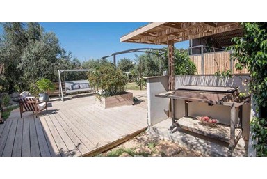 סוויטות ירוק זית