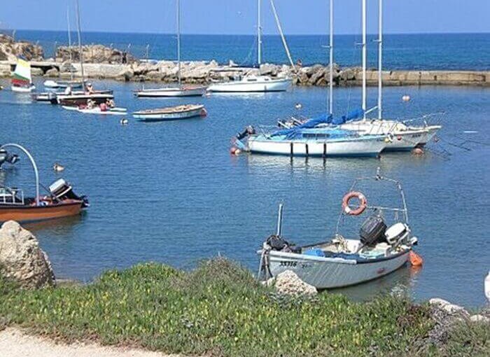 פנקס הקטן אטרקציות (4).jpg