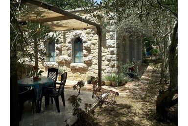 בצל הגפן - הסוויטה