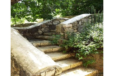 בצל הגפן - הסוויטה