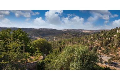 בצל הגפן - הבקתה