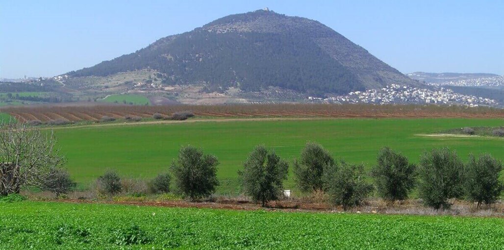 נח בתבור החצר והנוף (2).jpg