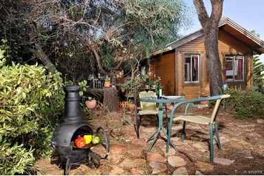 בית עץ יוני - אצלנו בחצר