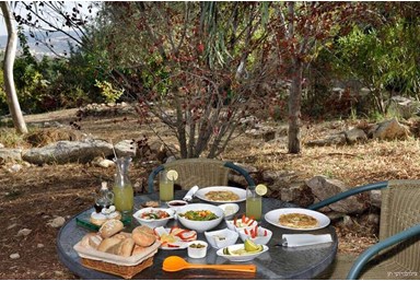 בית עץ יוני - ארוחות בוקר