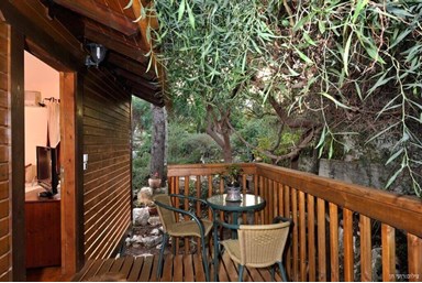 בית עץ יוני - אצלנו בחצר