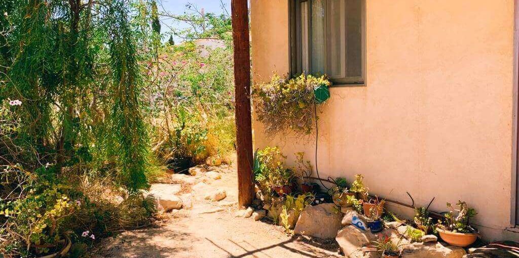 שדה כוכבים הירח (6).jpeg