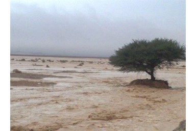 הבקתות של קלם  - בסביבה
