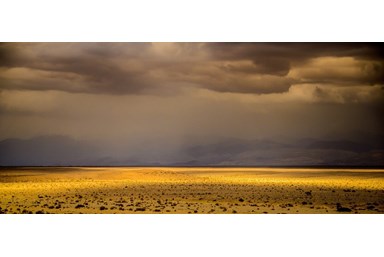 הבקתות של קלם  - החצר