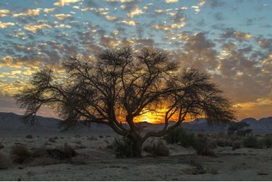 הבקתות של קלם  - החצר