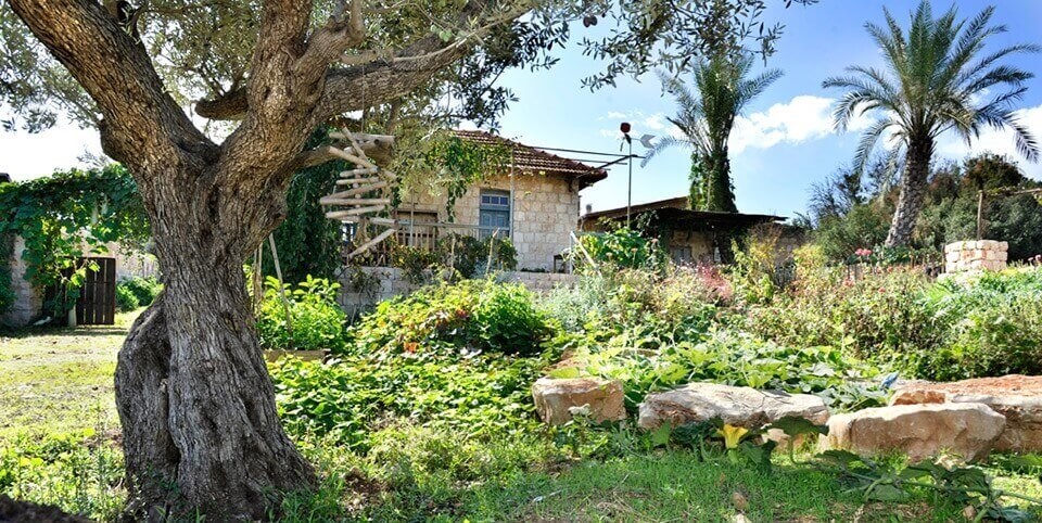 חמדתיה חצר (1).jpg