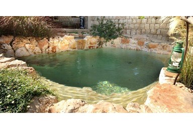 חמדתיה - בחצר שלנו