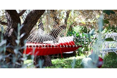 חמדתיה - בחצר שלנו