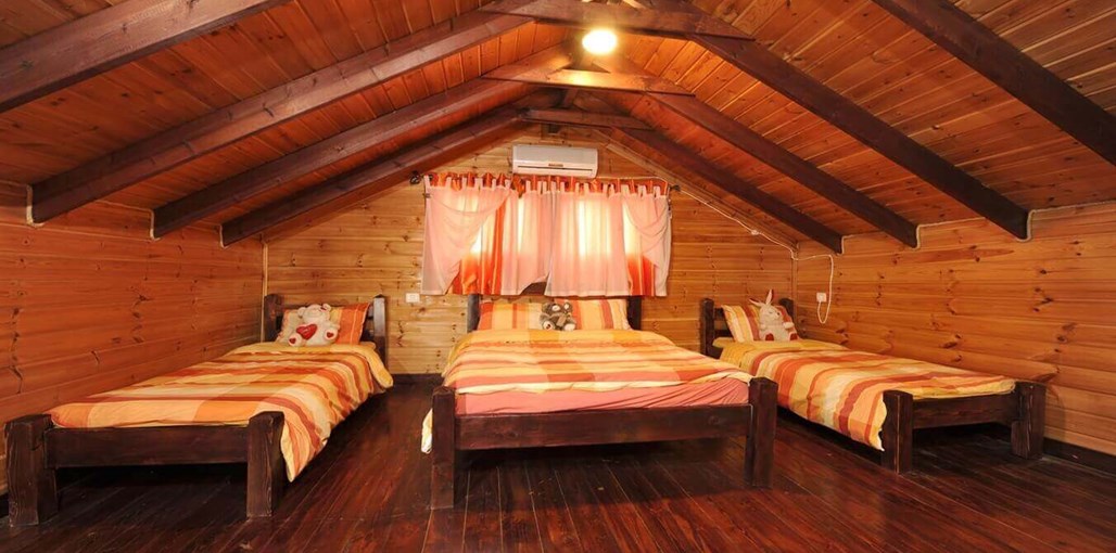 אלוני חן ארז (11).jpg