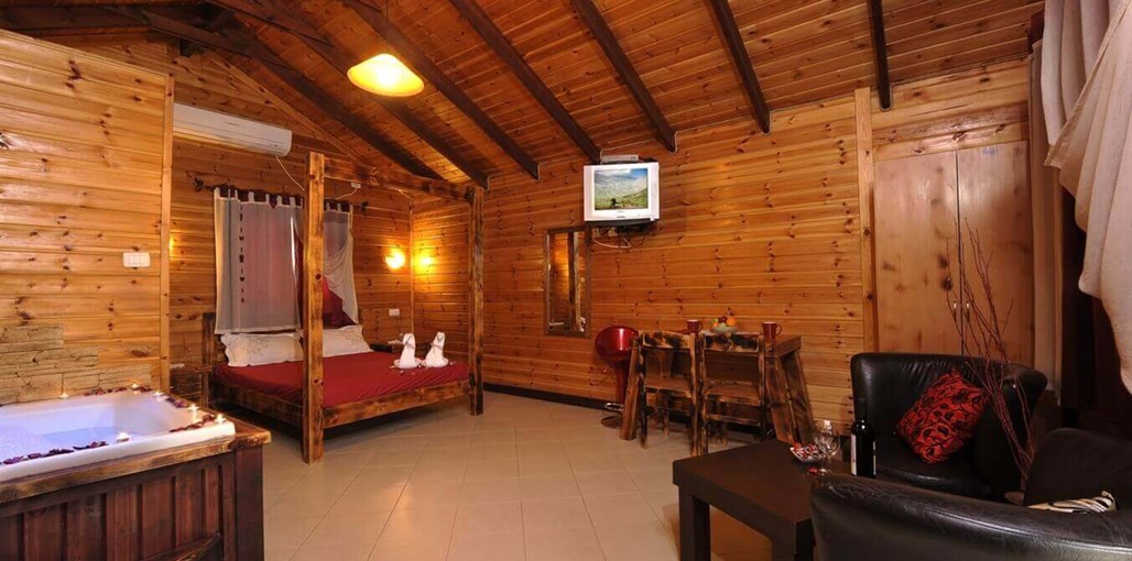 אלוני חן אלון (6).jpg