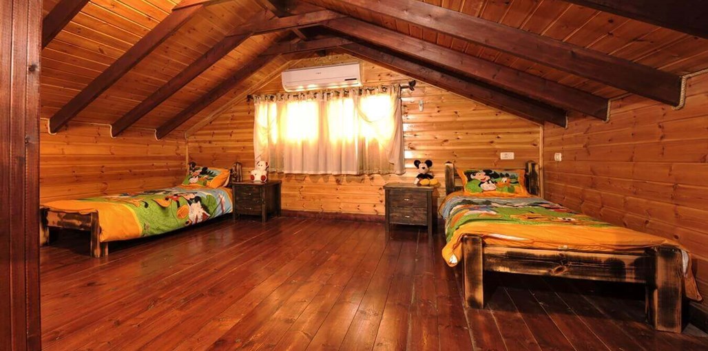 אלוני חן דקל (1).jpg