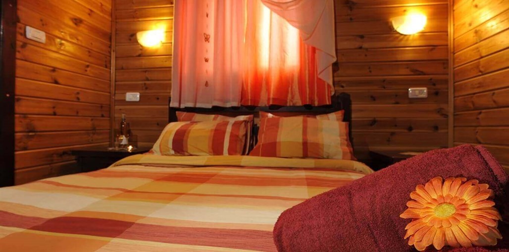 אלוני חן ארז (4).jpg