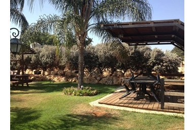 אלוני חן - החצר 