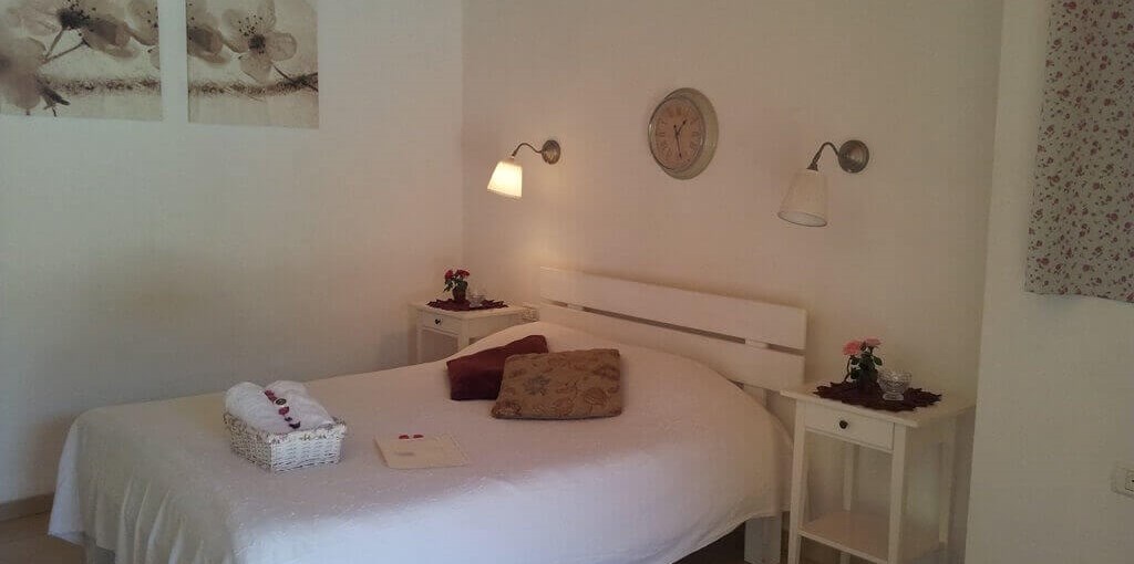 החצר של קובי גפן (2).jpg