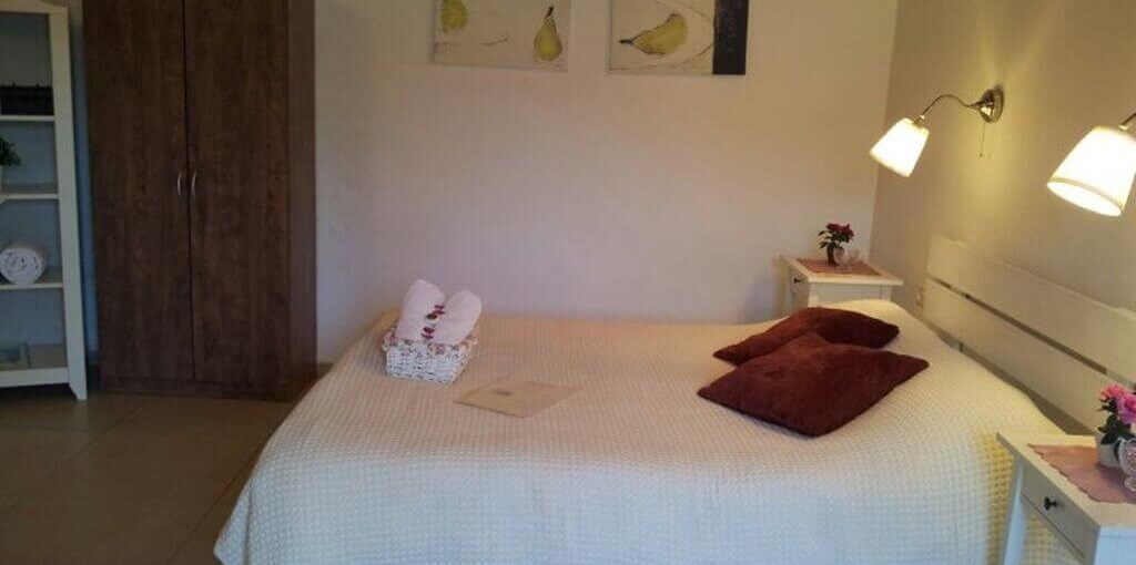 החצר של קובי תאנה (3).jpg